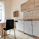 Rent 1 bedroom apartment of 15 m² in Brno