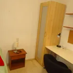 Rent a room in cordoba