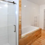 Pronajměte si 4 ložnic/e byt o rozloze 142 m² v Prague