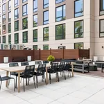 Rent 1 bedroom apartment in Queens