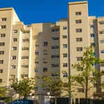 Alquilar 2 dormitorio apartamento en Alicante