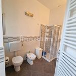 Rent 1 bedroom apartment of 40 m² in Biella