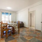 Rent 3 bedroom apartment of 80 m² in Follonica