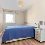 Rent 1 bedroom apartment in Dublin