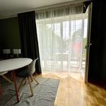 Miete 1 Schlafzimmer wohnung von 42 m² in Dresden