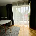 Rent 1 bedroom apartment of 42 m² in Dresden