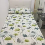 Alquilar 4 dormitorio apartamento en Valencia