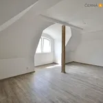 Rent 1 bedroom apartment of 55 m² in Ústí nad Labem