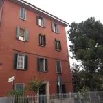 Rent 3 bedroom apartment of 57 m² in Bologna