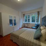 Rent 2 bedroom apartment of 65 m² in Turin