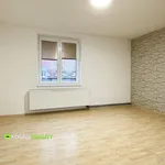 Rent 2 bedroom apartment in Sokolov