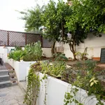 Rent 4 bedroom house in Lisbon