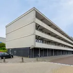 Rent 3 bedroom apartment of 85 m² in Randwijck Oost