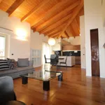 Rent 4 bedroom apartment of 180 m² in Bergamo