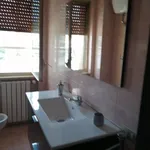 Rent 3 bedroom apartment of 100 m² in Sulmona