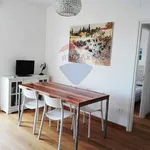 Rent 4 bedroom apartment of 50 m² in Viareggio