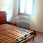 Rent 2 bedroom apartment of 50 m² in Ferrara