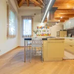 Rent 1 bedroom apartment of 180 m² in Montebelluna