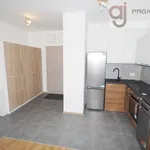 Rent 2 bedroom apartment of 43 m² in Łódź