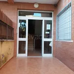 Rent 3 bedroom apartment of 76 m² in Anzio