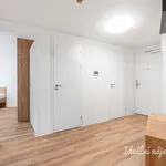 Rent 3 bedroom apartment in Praha 6