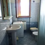 Rent 2 bedroom apartment of 50 m² in Piacenza