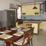 Rent 4 bedroom apartment of 120 m² in Rimini