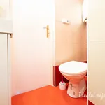 Rent 1 bedroom apartment in Prague