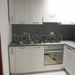 Rent 3 bedroom apartment of 70 m² in Vicenza