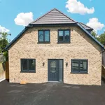 Rent 4 bedroom house in East Of England