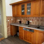 Rent 1 bedroom apartment in Prague