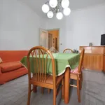 Rent 3 bedroom apartment of 85 m² in Torino