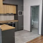 Rent 1 bedroom apartment of 50 m² in Békéscsaba