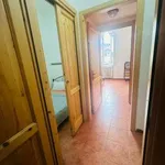 Rent 3 bedroom apartment of 80 m² in Genoa