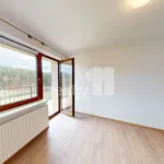 Rent 1 bedroom apartment of 22 m² in Světlá nad Sázavou