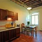 Rent 4 bedroom house of 80 m² in Lucca