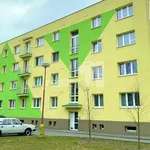 Pronajměte si 2 ložnic/e byt o rozloze 47 m² v Rychnov nad Kněžnou