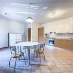 Rent 2 bedroom apartment of 44 m² in Pistoia