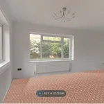 Rent 4 bedroom house in Norwich