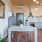 Rent 2 bedroom apartment of 67 m² in Florence