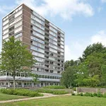 Rent 3 bedroom apartment of 84 m² in Amsterdam