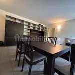 Rent 3 bedroom apartment of 110 m² in Parma