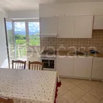 Rent 3 bedroom apartment of 74 m² in Zagarolo