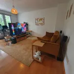 Rent 1 bedroom apartment of 53 m² in berlin