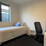 Rent 3 bedroom house in Tauranga