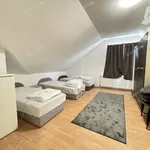 Rent 10 bedroom house of 350 m² in Kecskemét