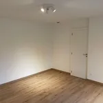 Maison de 300 m² avec 4 chambre(s) en location à Habay