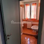 Rent 1 bedroom apartment of 45 m² in Pisa