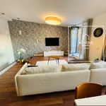 Rent 3 bedroom apartment of 87 m² in Budapest