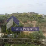 Rent 3 bedroom house of 500 m² in Vari Municipal Unit